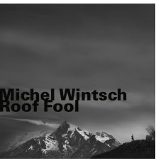 Michel Wintsch - Roof Fool