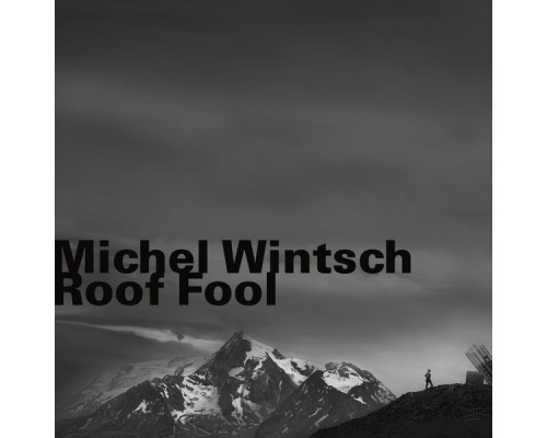 Michel Wintsch - Roof Fool