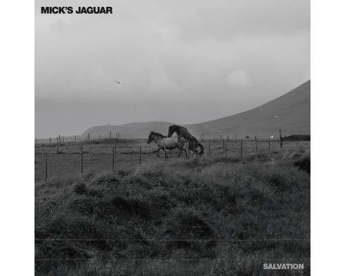 Mick's Jaguar - Salvation