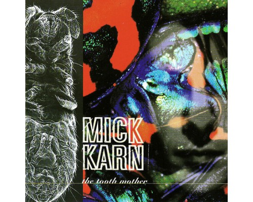 Mick Karn - The Tooth Mother