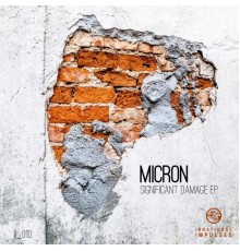 Micron - Significant Damage