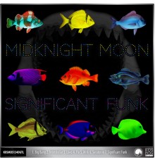 MidKnight Moon - Significant Funk EP