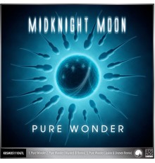 MidKnight Moon - Pure Wonder