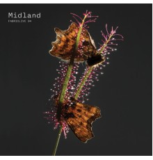 Midland - FABRICLIVE 94: Midland