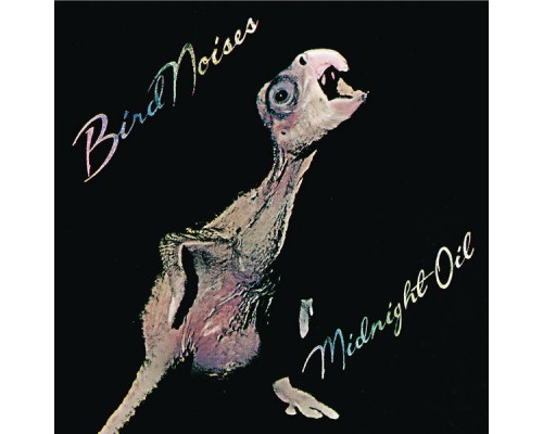 Midnight Oil - Bird Noises (Remastered)