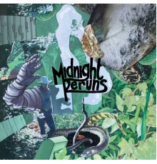 Midnight Reruns - Midnight Reruns