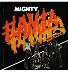 Mighty Flames - Metalik Funk Band