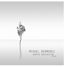 Miguel Bermudez - Winter Inspiration