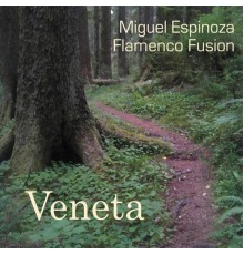 Miguel Espinoza Flamenco Fusion - Veneta
