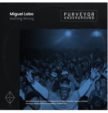 Miguel Lobo - Nothing Wrong