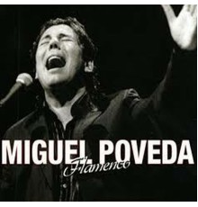 Miguel Poveda - Flamenco