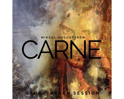 Mikael Augustsson - Carne