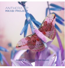 Mikasi Project - Anthera