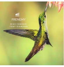 Mike Conradi, Tony Diamond - Frenemy