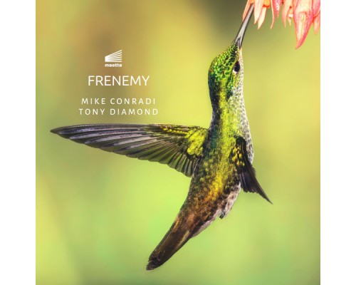 Mike Conradi, Tony Diamond - Frenemy