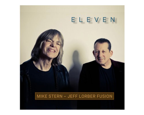 Mike Stern - Eleven