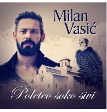 Milan Vasić - Poleteo soko sivi