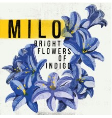 Milo - Bright Flowers Of Indigo