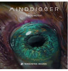 Minddigger - Introspection