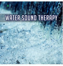 Mindfulness Meditation Music Spa Maestro - Water Sound Therapy: Calming Ocean Waves, Healing Rain Sounds, Running River, Deep Rumble of the Sea, Relaxing Waterfall
