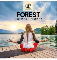 Mindfulness Meditation Music Spa Maestro, nieznany, Marco Rinaldo - Forest Meditation Therapy - Immerse Yourself into the Nature Sounds: Understanding Mindfulness, Learning Patience, Controlling Your Emotions