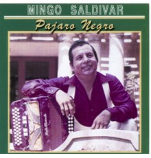 Mingo Saldivar - Pajaro Negro