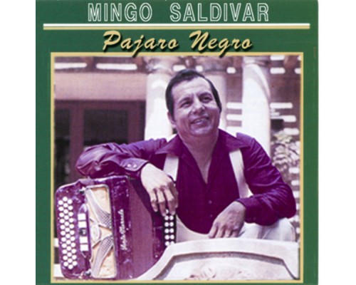 Mingo Saldivar - Pajaro Negro