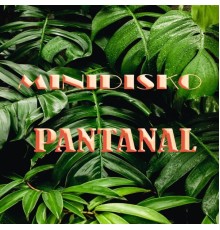 Minidisko - Pantanal (Remix)