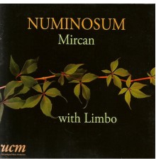 Mircan Kaya - Numinosum