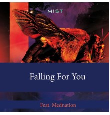 Mist - Falling for You