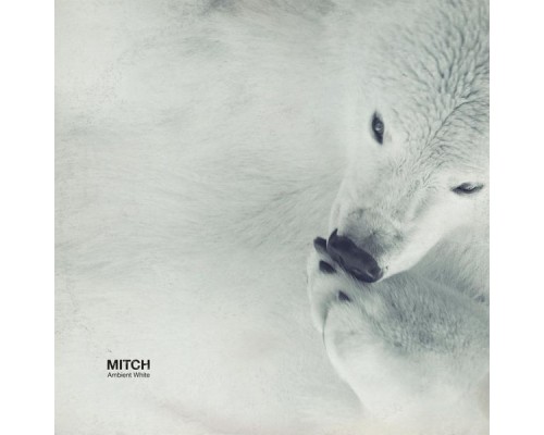 Mitch - Ambient White