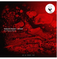 Mångata Projekt - Anyway