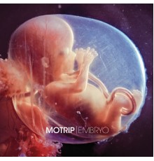 MoTrip - Embryo