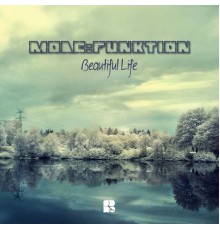 Mode:funktion - Beautiful Life (Original Mix)