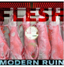 Modern Ruin - Flesh