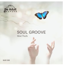 Moe Turk - Soul Groove