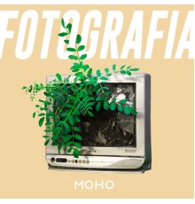 Moho - Fotografia