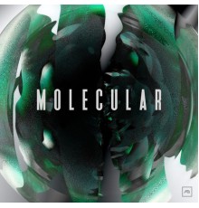 Molecular - Culture EP