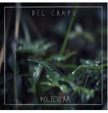 Molecular - Del Campo