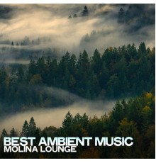 Molina Lounge - Best Ambient Music