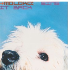 Moloko - Sing It Back