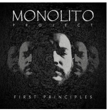 Monolito Project - First Principles