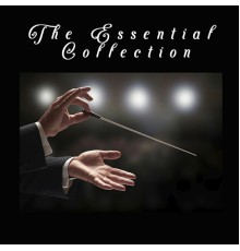 Montavani - The Essential Collection