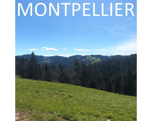 Montpellier - Montpellier