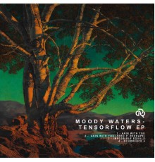 Moody Waters - Tensorflow EP