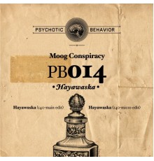 Moog Conspiracy - Hayawaska