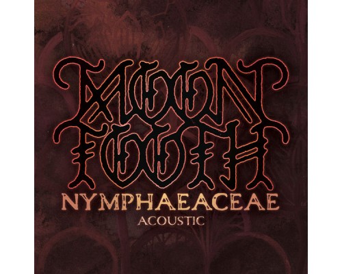 Moon Tooth - Nymphaeaceae  (Acoustic)