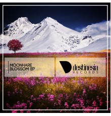 Moonhare - Blossom EP (Original Mix)