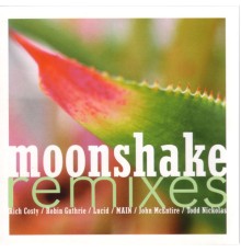 Moonshake - Moonshake Remixes