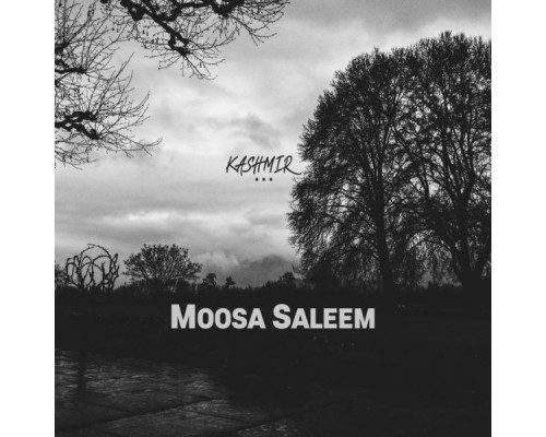 Moosa Saleem - Kashmir...